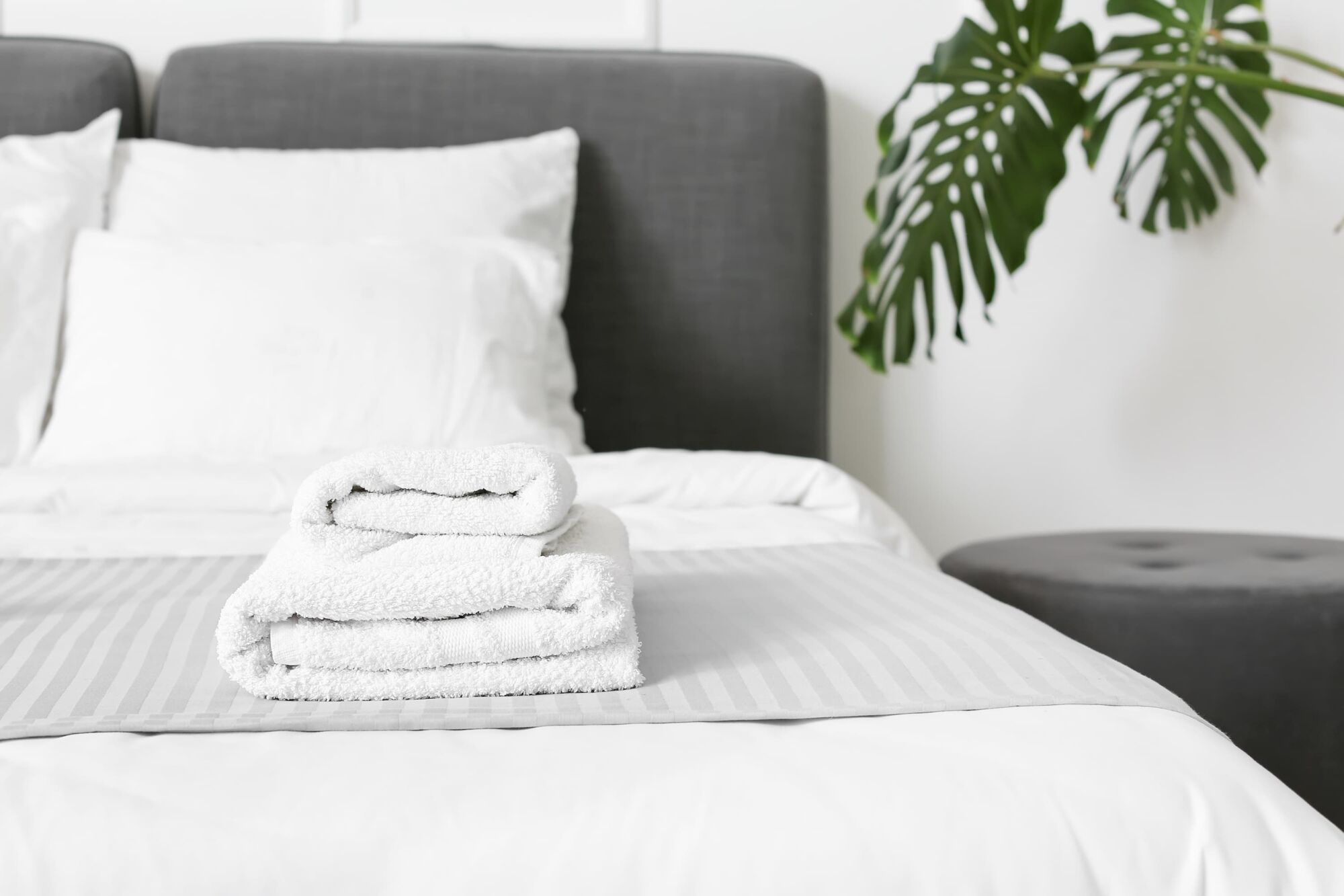 Conciergerie professionnelle pour votre logement dans la r&eacute;gion de Colmar &agrave; Mulhouse Cernay 7